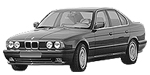 BMW E34 P1224 Fault Code